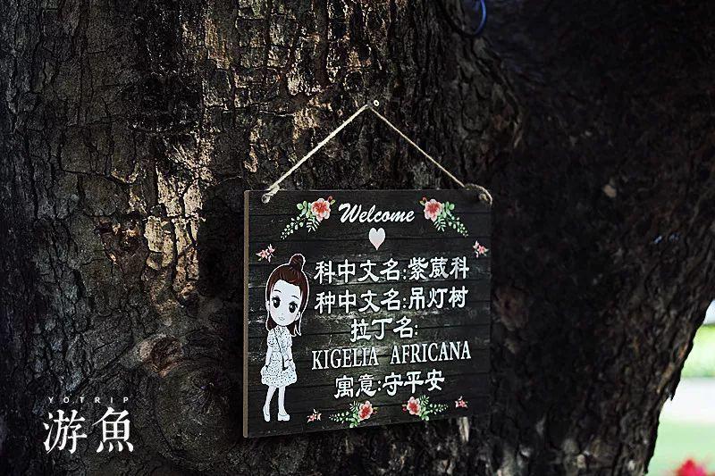 抢在拜登破局前,中方枪先一步,打出一“王炸”,美国害人反害己